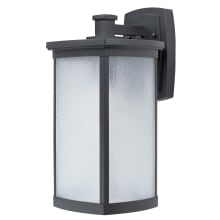 Terrace Single Light 16" Tall LED Outdoor Wall Sconce