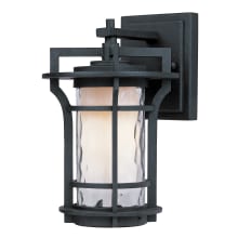 Oakville 10" Tall LED Wall Sconce with Water Glass