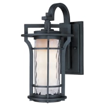 Oakville 21" Tall LED Wall Sconce with Water Glass