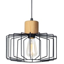 Bjorn Single Light 12" Wide Pendant