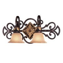 2 Light 23.75" Width Bathroom Vanity Light from the Zaragoza Collection