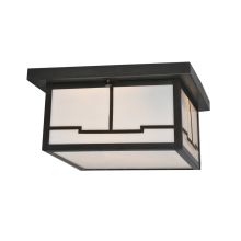 Two Light Down Lighting Outdoor Flush Mount Ceiling Fixture from the Hyde Park Collection