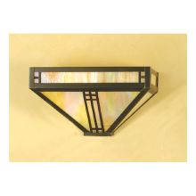 12" Wide Single Light Wall Washer with Art Glass Shade