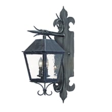 Carmine 2 Light 28" Tall Wall Sconce