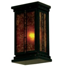 Zandra 10" Tall Wall Sconce