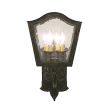 Naples 4 Light 20" Tall Wall Sconce