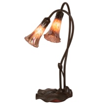 2 Light 16" Tall Gooseneck Table Lamp