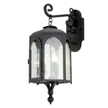 Jonquil 3 Light 22" Tall Wall Sconce