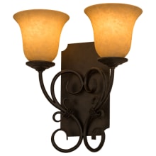 Thierry 2 Light 14" Tall Wall Sconce