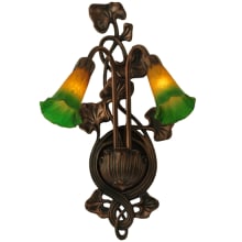 Pond 2 Light 18" Tall Wall Sconce