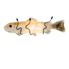 Rainbow Trout 2 Light 10" Tall Wall Sconce