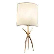 22" Tall Wall Sconce