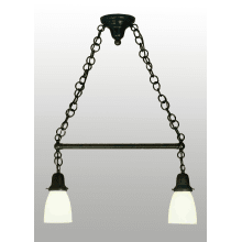 Oyster Bay 2 Light 24" Wide Linear Chandelier with White Glass Shade