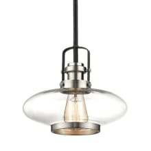 Single Light 10" Wide Pendant with Glass Shade