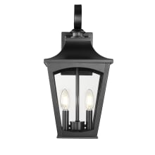 Curry 2 Light 19" Tall Outdoor Wall Sconce with Clear Glass Shade - ADA Compliant