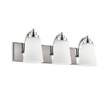 3 Light 24" Wide Bathroom Vanity Light with Glass Shades