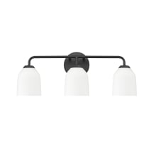 Norah 3 Light 23" Wide Vanity Light with Frosted Ribbed Glass Shades