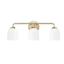 Norah 3 Light 23" Wide Vanity Light with Frosted Ribbed Glass Shades