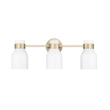 Corella 3 Light 22" Wide Vanity Light with Frosted Glass Shades