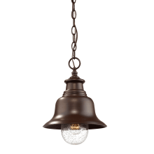 Single Light 9" Wide Outdoor Mini Pendant with Glass Shade