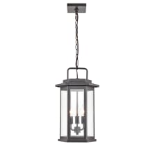 Ellis 3 Light 11" Wide Outdoor Pendant