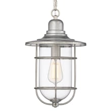 10" Wide Outdoor Cage Pendant