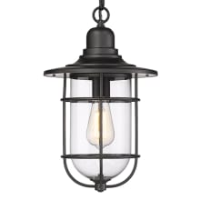 10" Wide Outdoor Cage Pendant