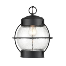 Aremelo 10" Wide Outdoor Cage Pendant