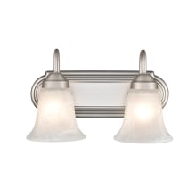 2 Light 14" Wide Vanity Light with Frosted Glass Shades