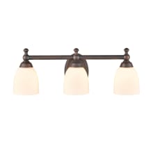 3 Light 22" Wide Vanity Light with Frosted Glass Shades