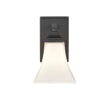 12" Tall Bathroom Sconce with Frosted Glass Shade