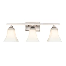 3 Light 24" Wide Vanity Light with Frosted Glass Shades
