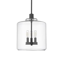 Asheville 3 Light 12" Wide Pendant with Clear Glass Shade