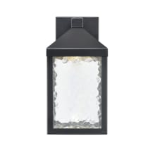 Aaron 12" Tall LED Outdoor Wall Sconce with Water Glass Shade - ADA Compliant