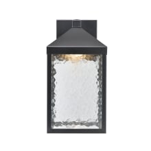 Aaron 15" Tall LED Outdoor Wall Sconce with Water Glass Shade - ADA Compliant