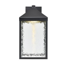 Aaron 18" Tall LED Outdoor Wall Sconce with Water Glass Shade - ADA Compliant