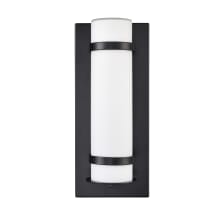 14" Tall LED Outdoor Wall Sconce with Cylinder Frosted Glass Shade - ADA Compliant