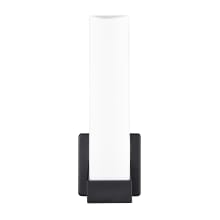 13" Tall LED Outdoor Wall Sconce with Frosted Glass Shade - ADA Compliant
