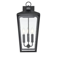 Brooks 3 Light 23" Tall Outdoor Wall Sconce with Seedy Glass Shade - ADA Compliant