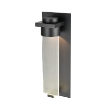 Amster 15" Tall LED Outdoor Wall Sconce with Frost Glass Shade