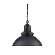 Adda 14" Wide Outdoor Pendant