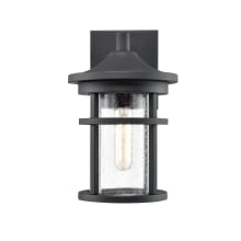 Namath 11" Tall Outdoor Wall Sconce with Seedy Glass Shade - ADA Compliant