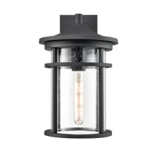 Namath 15" Tall Outdoor Wall Sconce with Seedy Glass Shade - ADA Compliant