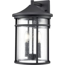 Namath 2 Light 17" Tall Outdoor Wall Sconce with Seedy Glass Shade - ADA Compliant