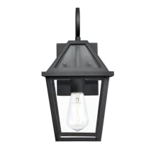 Eston 14" Tall Outdoor Wall Sconce with Clear Glass Shade - ADA Compliant