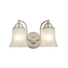 2 Light 12" Wide Vanity Light with Frosted Glass Shades