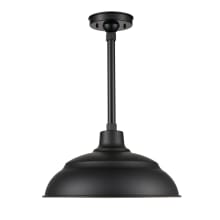 LED RLM Outdoor 14" Warehouse Pendant with 12" Stem Ceiling Mount