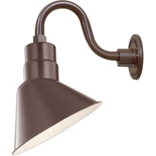 RLM 1 Light Outdoor Wall Sconce with 10" Wide Shade and 10" Gooseneck Stem