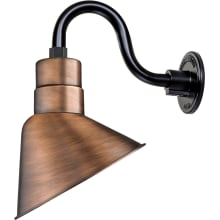 RLM 1 Light Outdoor Wall Sconce with 10" Wide Shade and 10" Gooseneck Stem