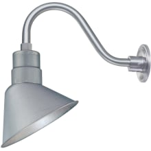 RLM 1 Light Outdoor Wall Sconce with 10" Wide Angle Shade and 14.5" Gooseneck Stem